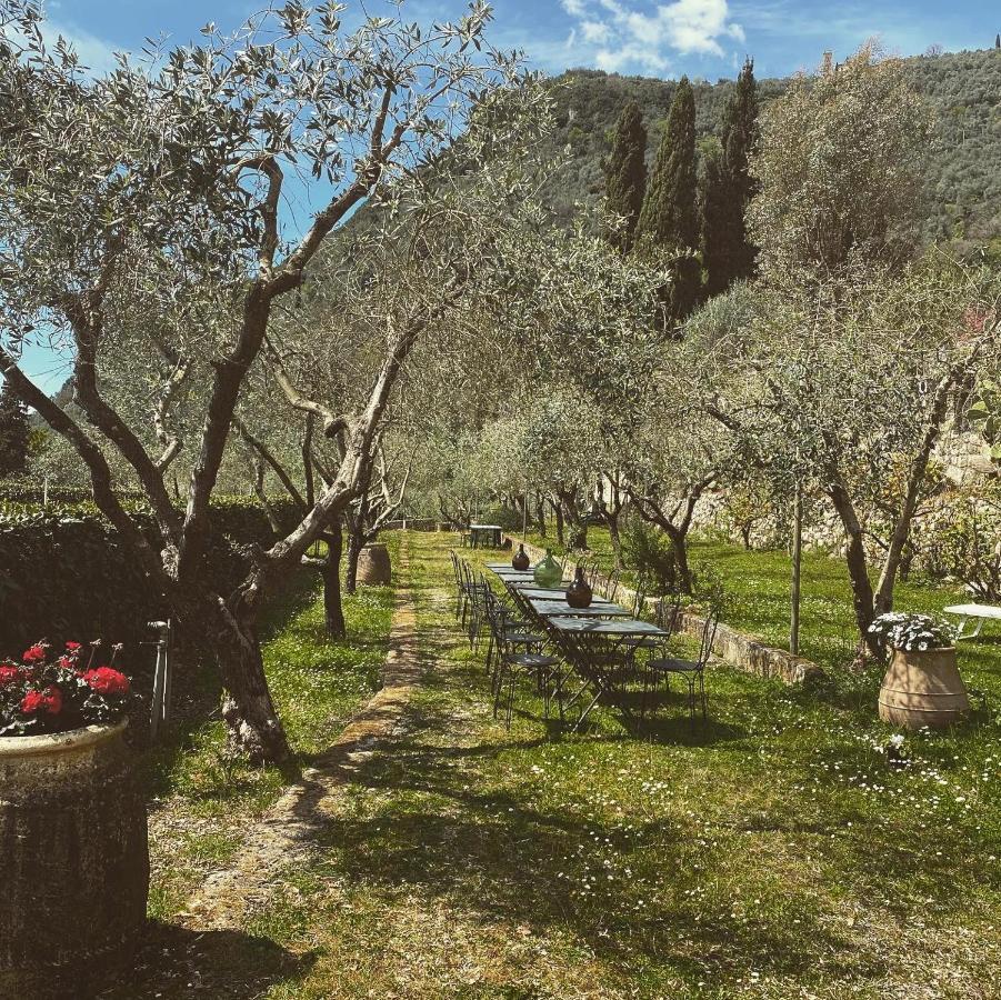 Sotto Il Cielo Di Toscana Appartamenti In Tenuta Only Adults No Pet カマイオーレ エクステリア 写真