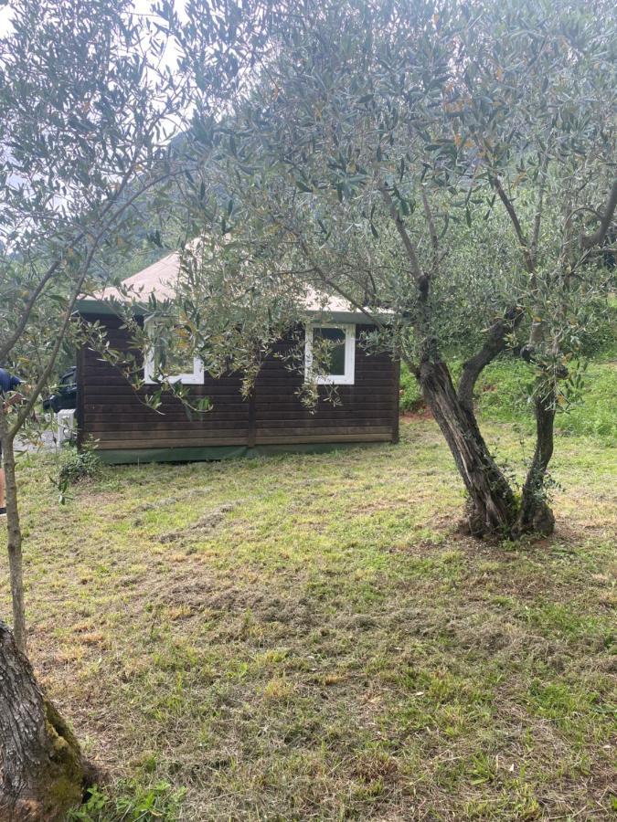 Sotto Il Cielo Di Toscana Appartamenti In Tenuta Only Adults No Pet カマイオーレ エクステリア 写真