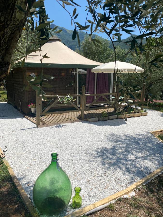 Sotto Il Cielo Di Toscana Appartamenti In Tenuta Only Adults No Pet カマイオーレ エクステリア 写真
