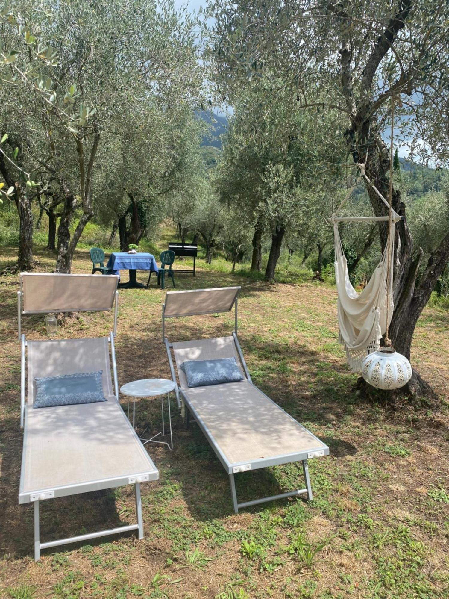 Sotto Il Cielo Di Toscana Appartamenti In Tenuta Only Adults No Pet カマイオーレ エクステリア 写真