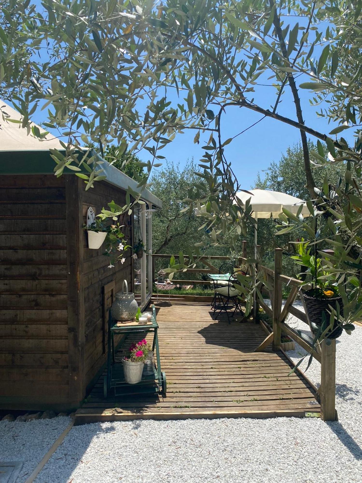 Sotto Il Cielo Di Toscana Appartamenti In Tenuta Only Adults No Pet カマイオーレ エクステリア 写真
